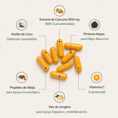 CURCUMA TURMERIC CURCUMIN